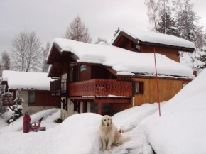 Beau chalet au départ des pistes - 6 Pièces 12 personnes MAE-4869